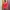 Asics Sportswear Jersey Pria red orange photo 2