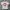 Vintage T-shirt Pria white photo 3