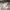 Lafudge Streetwear Casual Casual pants Pria gray photo 7