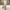 Uniform Bridge Streetwear Casual Casual pants Pria khaki photo 1