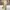 Uniform Bridge Streetwear Casual Casual Pants Pria Khaki