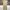 Uniform Bridge Streetwear Casual Casual pants Pria khaki photo 3