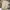 Uniform Bridge Streetwear Casual Casual pants Pria khaki photo 4