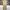 Uniform Bridge Streetwear Casual Casual pants Pria khaki photo 2