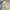 Uniform Bridge Streetwear Casual Casual pants Pria khaki photo 6