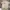 Uniform Bridge Streetwear Casual Casual pants Pria khaki photo 5