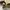 Uniform Bridge Streetwear Casual Casual pants Pria khaki photo 8