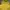 Valentino Casual Polo shirt Pria yellow photo 6