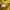 Valentino Casual Polo shirt Pria yellow photo 4