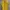 Valentino Casual Polo shirt Pria yellow photo 1