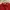 Valentino Luxury Casual Polo shirt Pria red photo 2
