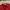 Valentino Luxury Casual Polo Shirt Pria Red