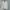 Lafudge Streetwear Casual Windbreaker Pria cream photo 5