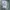 Lafudge Streetwear Casual Windbreaker Pria cream photo 8