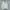 Lafudge Streetwear Casual Windbreaker Pria cream photo 4