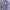 MSGM Casual T-shirt Pria purple photo 1