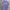 MSGM Casual T-shirt Pria Purple