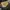 Timberland Vintage Streetwear Boots Pria brown photo 5