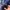 Dickies Biker Casual Bomber jacket Pria navy photo 6