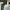 Nike Streetwear Sportswear Sweatshirt Pria white green photo 3