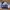 Nike Streetwear Sportswear Sweater Pria white gray photo 1