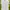 Adidas Streetwear Sportswear Jersey Wanita white photo 1