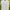 Adidas Streetwear Sportswear Jersey Wanita White