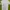 Adidas Streetwear Sportswear Jersey Wanita white photo 2