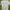 Adidas Streetwear Sportswear Jersey Wanita White