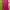 Sportswear Casual Vest Wanita pink photo 4