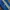 Adidas Sportswear Casual Tracksuit Pria Blue