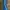 Adidas Sportswear Casual Tracksuit Pria blue photo 1