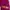 Reebok Streetwear Sportswear Vest Wanita pink photo 4
