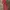 Adidas Sportswear Casual Tracksuit Pria multicolor photo 1