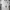 Adidas Vintage Sportswear Jersey Pria white black photo 3