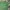 Giordano Y2K Futurist Polo shirt Pria green photo 1