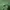 Giordano Y2K Futurist Polo shirt Pria green photo 4
