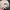 The Hundreds Casual Hat Pria cream photo 3