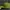 New Era Streetwear Casual Hat Pria green photo 2