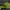 New Era Streetwear Casual Hat Pria Green