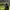 New Era Streetwear Casual Hat Pria green photo 5