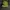 New Era Streetwear Casual Hat Pria green photo 1