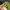 New Era Streetwear Casual Hat Pria green photo 3