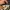 VANS Streetwear Casual Hat Pria multicolor photo 5