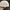 HUF Streetwear Casual Hat Pria white photo 3