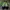 Balenciaga Streetwear Casual Windbreaker Pria white green photo 1