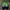 Balenciaga Streetwear Casual Windbreaker Pria White Green