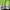 Balenciaga Streetwear Casual Windbreaker Pria white green photo 2