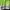 Balenciaga Streetwear Casual Windbreaker Pria White Green