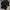 Adidas Sportswear Casual Bomber jacket Pria black photo 5